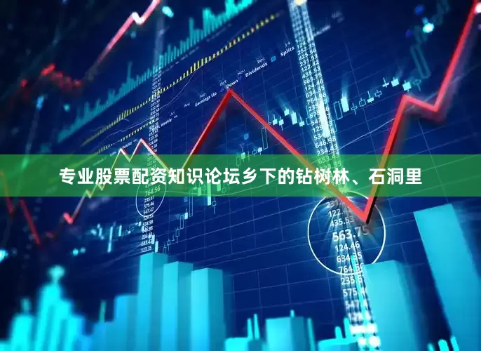 专业股票配资知识论坛乡下的钻树林、石洞里