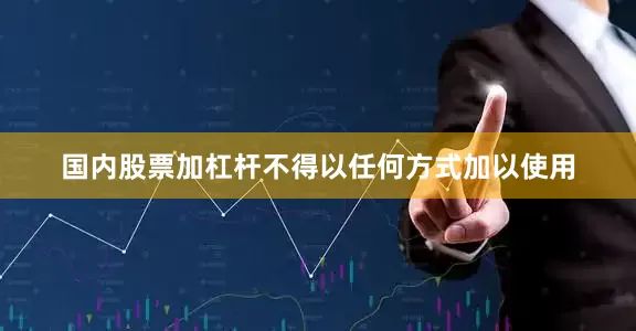 国内股票加杠杆不得以任何方式加以使用