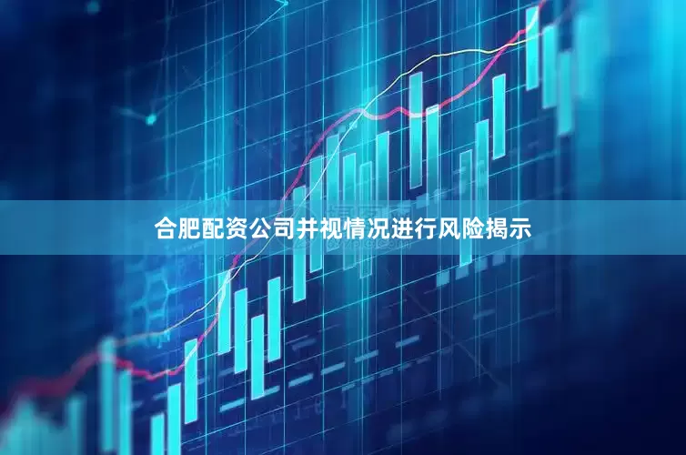 合肥配资公司并视情况进行风险揭示