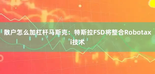 散户怎么加杠杆马斯克：特斯拉FSD将整合Robotaxi技术