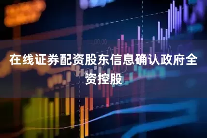 在线证券配资股东信息确认政府全资控股