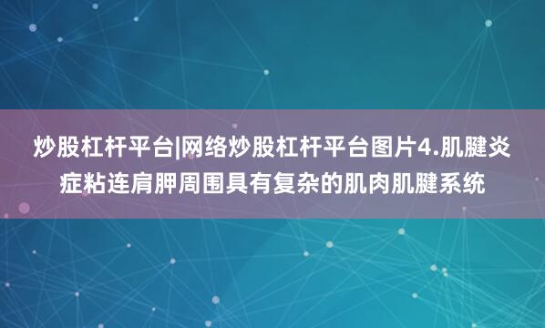 炒股杠杆平台|网络炒股杠杆平台图片4.肌腱炎症粘连肩胛周围具有复杂的肌肉肌腱系统